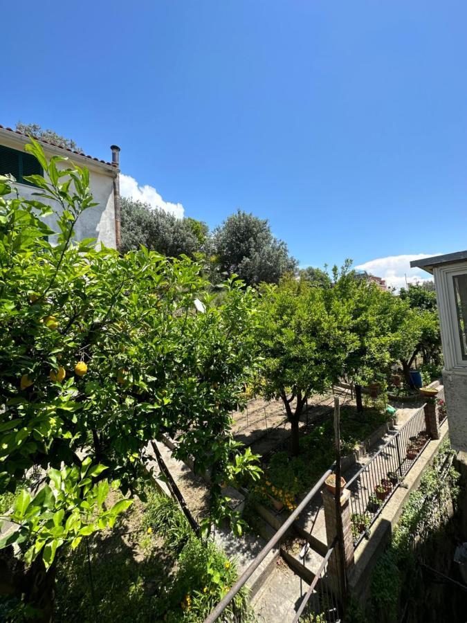 Casa Vittoria Lägenhet Vietri Exteriör bild